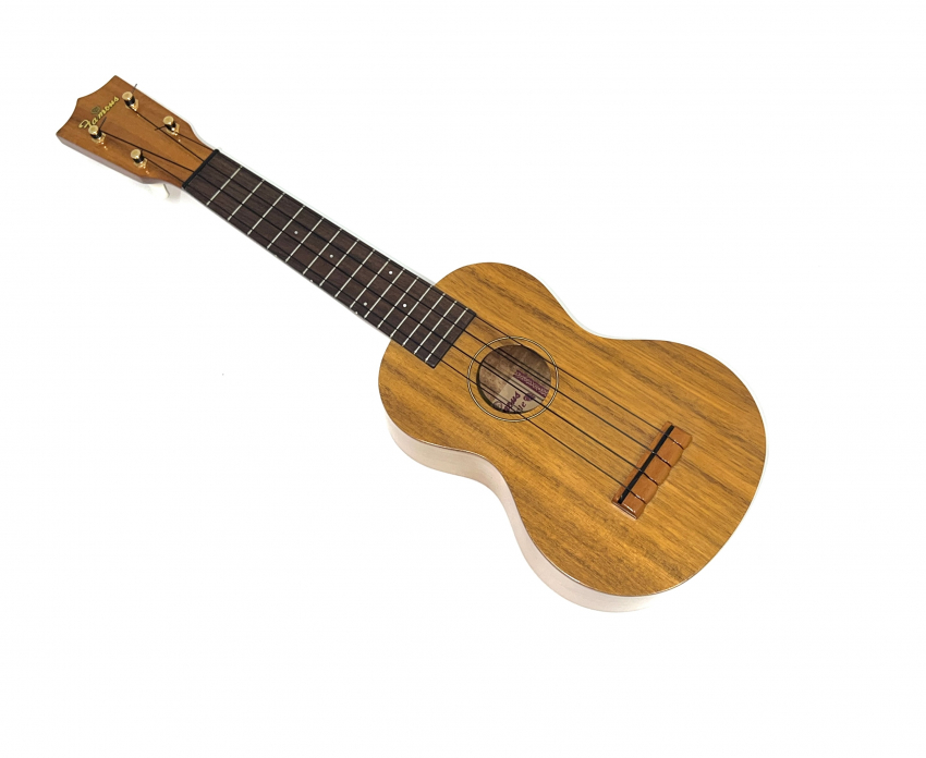  FS-5 フェイノマス  ウクレレ